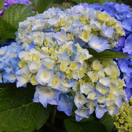 ヴズールLe Moulin Des Pres Avec Terrasseアパートメント 部屋 写真